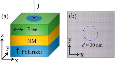 Spin-Torque Oscillator Based on Magnetic Domain and Meron